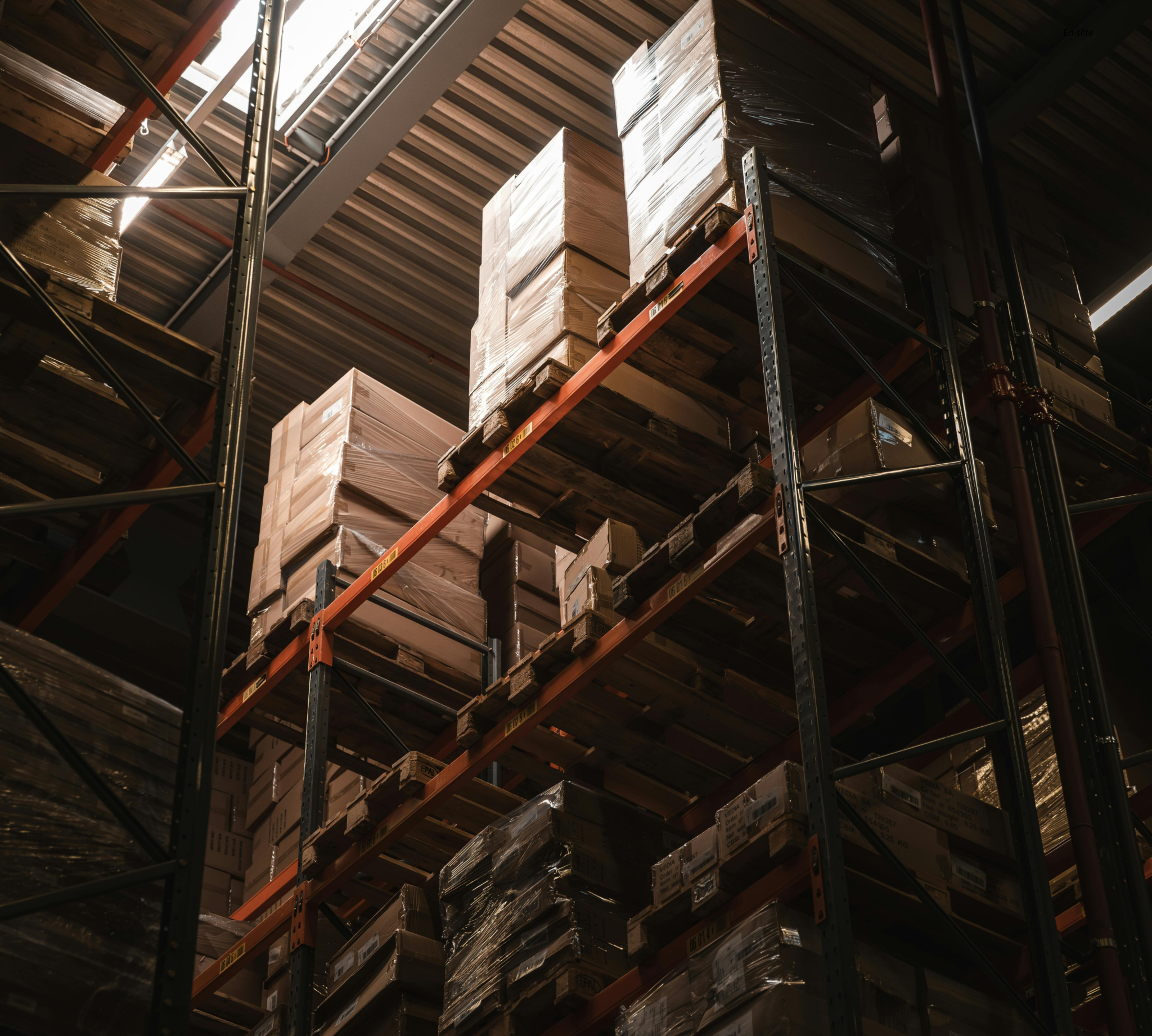 Pallet Shuttle - Riyadh Dynamics